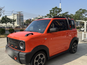 吉利银河 2024款 200km 熊猫骑士