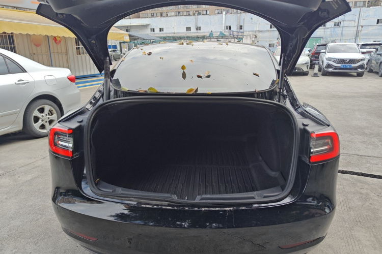 特斯拉 Model 3 2021款 标准续航后驱升级版 3D6局部细节23
