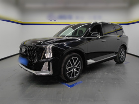 广汽传祺 传祺GS8 2022款 双擎系列 2.0TM 两驱尊贵版 （七座）