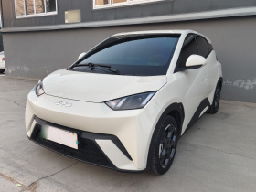 比亚迪 海鸥 2025款 405km 飞翔版