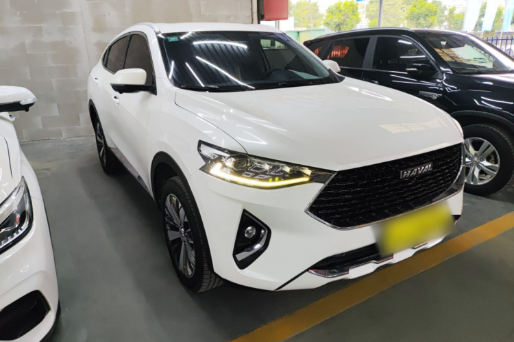 哈弗F7x 2019款 1.5T 两驱极智潮玩版车身外观6002
