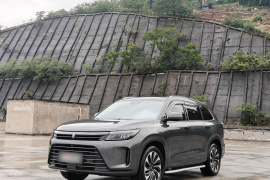 鸿蒙智行 问界M7 2022款 1.5T 四驱豪华版