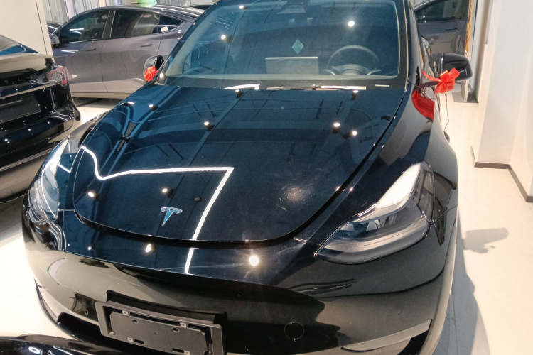 特斯拉 Model Y 2021款 长续航全轮驱动版车身外观2