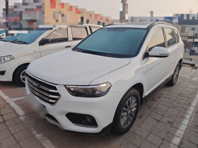 哈弗H6 2021款 运动版 1.5T 自动精英智联型 六边形格栅