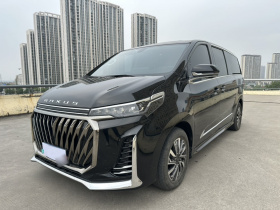 上汽大通MAXUS 大通G20 2023款 PLUS 2.0T 汽油自动豪华版