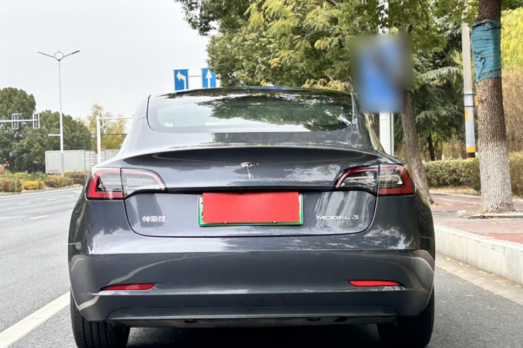 特斯拉 Model 3 2020款 标准续航后驱升级版车身外观6007