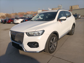 哈弗H6 2021款 1.5T 自动冠军版