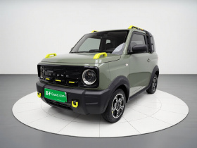 吉利银河 2024款 200km 熊猫骑士