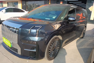 极氪009 2022款 WE版