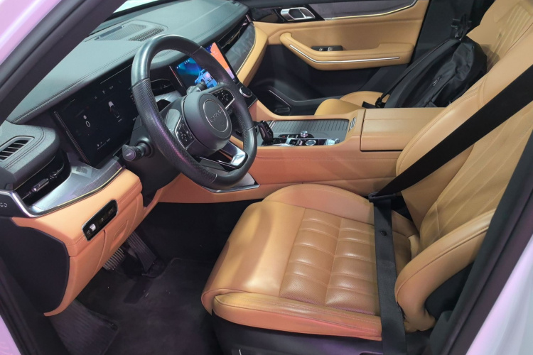 领克09 EM-P 2023款 2.0TD EM-P 远航版PM 七座局部细节19