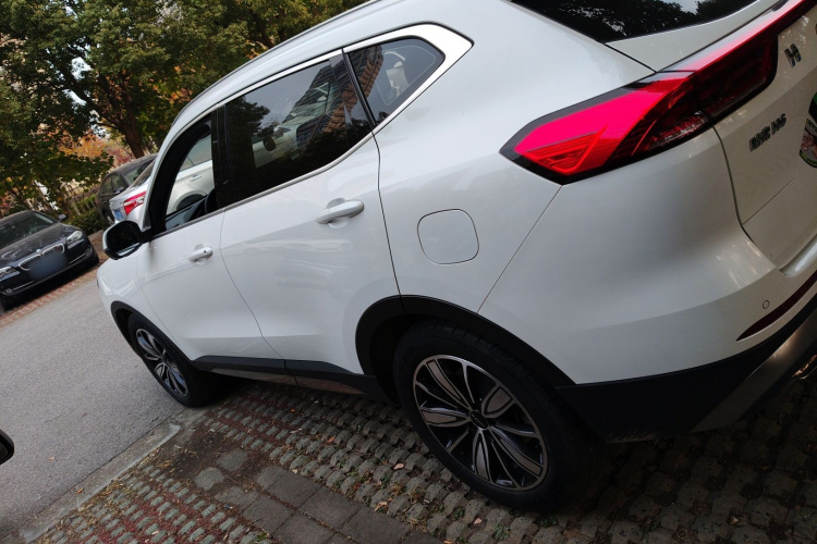 哈弗H6 2021款 国潮版 1.5T 自动冠军版车身外观4