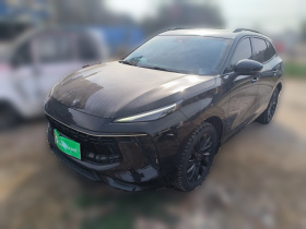 东风风行 风行T5 EVO 2021款 1.5TD DCT钻石版