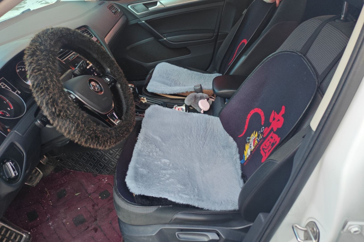 大众 高尔夫 2020款 挚爱版 280TSI DSG舒适型中控内饰19