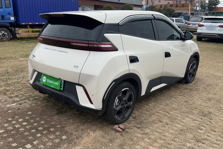 比亚迪 海鸥 2023款 自由版车身外观6007