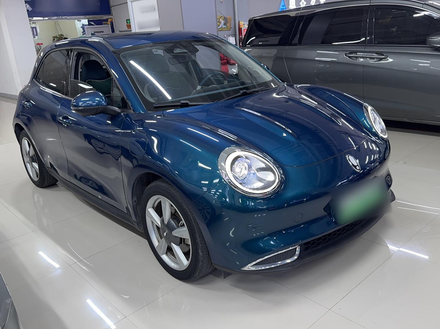 欧拉好猫 2021款 400km标准续航 维纳斯版 三元锂