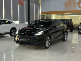 特斯拉 Model Y 2022款 后轮驱动版