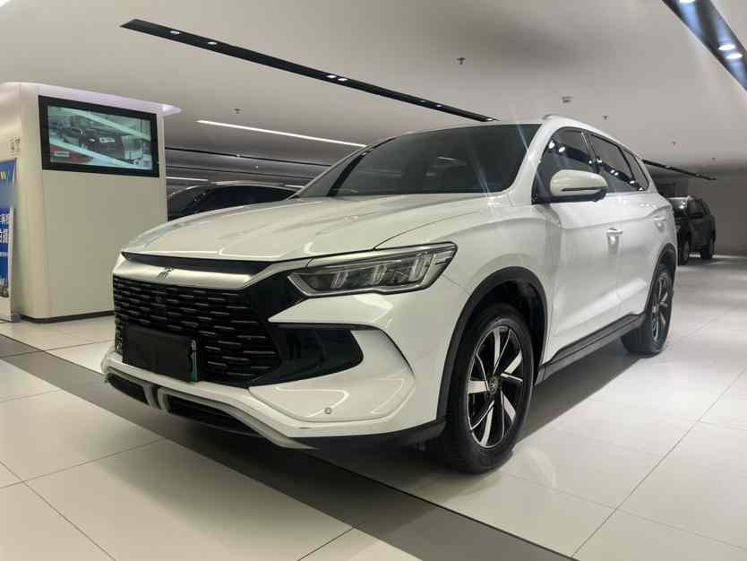 比亚迪 宋Pro新能源 2023款 冠军版 DM-i 71KM领先型(1)