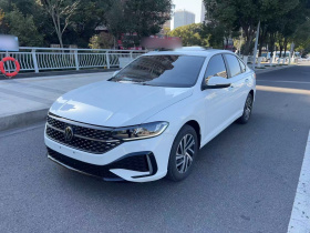 大众 朗逸 2024款 1.5L 自动星空五百万版