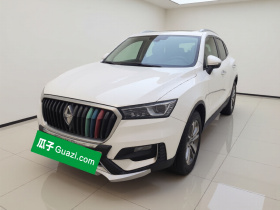 宝沃BX5 2017款 20TGDI 自动两驱领先型