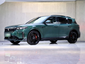 岚图汽车 岚图FREE 2025款 318 318km 后驱环游版