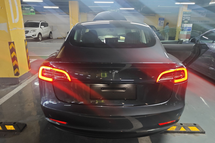 特斯拉 Model 3(进口) 2019款 长续航后驱版车身外观6