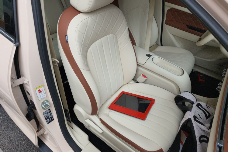 欧拉好猫 2023款 401km标准续航 豪华型 磷酸铁锂局部细节41