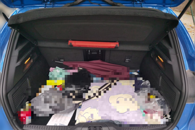 福特 福克斯 2021款 两厢 EcoBoost 180 自动ST Line中控内饰23