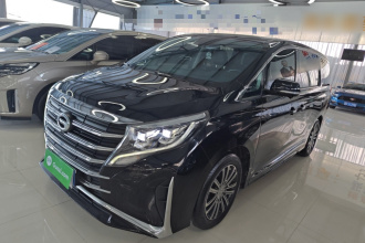 广汽传祺 传祺M8 2023款 领秀系列 390T 尊贵版