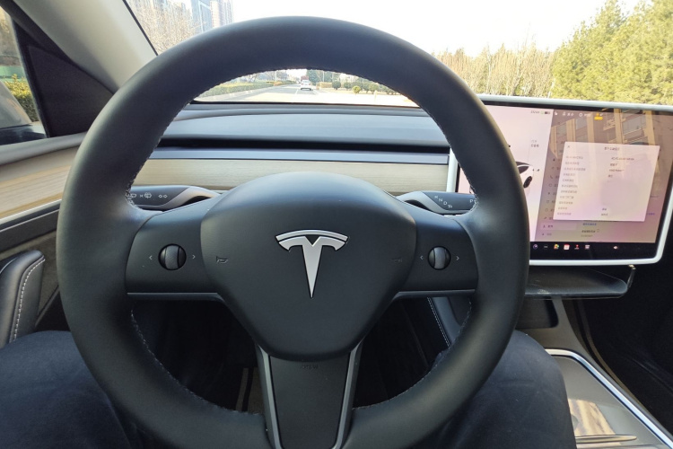 特斯拉 Model Y 2022款 Performance高性能全轮驱动版中控内饰7004