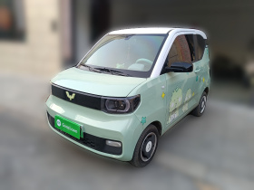 五菱汽车 宏光MINIEV 2021款 马卡龙时尚款 磷酸铁锂