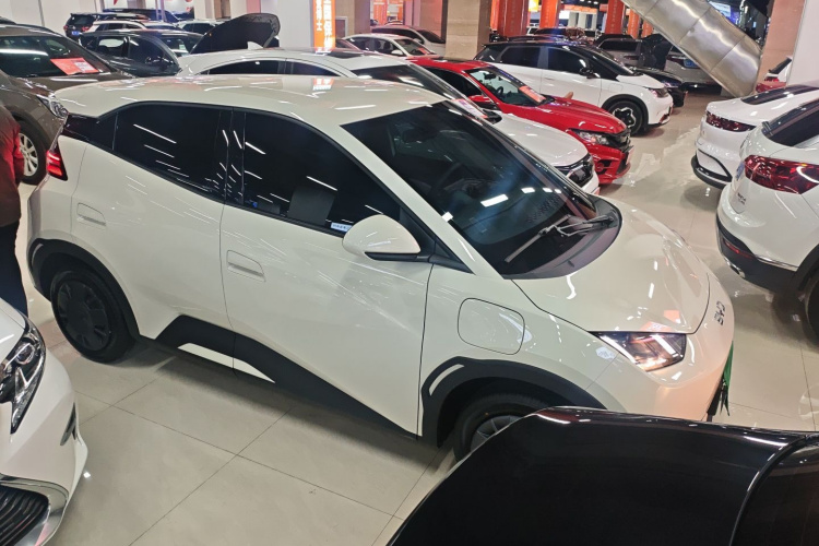 比亚迪 海鸥 2025款 智驾版 305km 活力版车身外观3