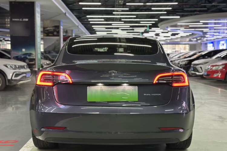 特斯拉 Model 3(进口) 2019款 长续航全轮驱动版车身外观6004