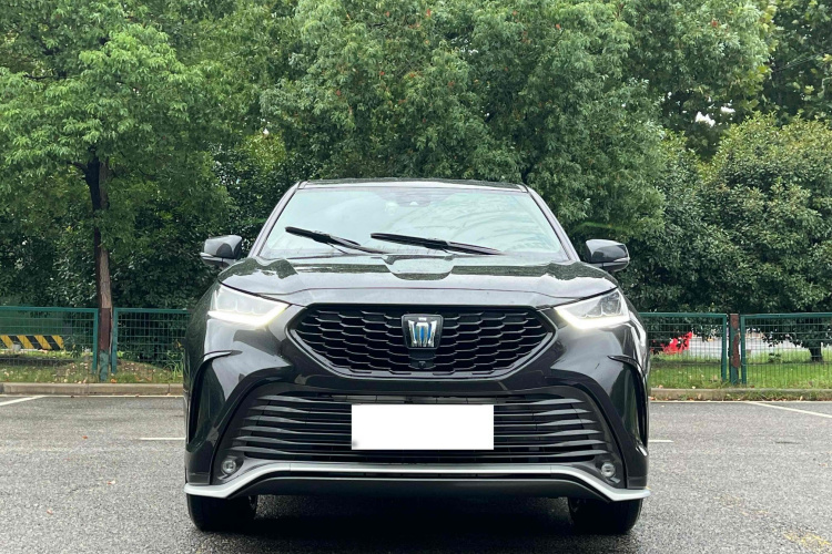 丰田 皇冠陆放 2023款 2.5L HEV两驱进取版（五座）车身外观6001