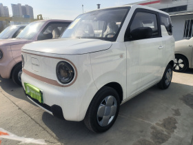 吉利银河 2024款 熊猫mini 200km 耐力熊