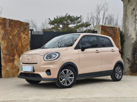 零跑汽车 零跑T03 2021款 400豪华版