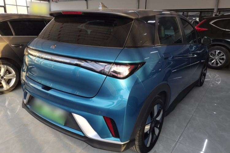 比亚迪 海豚 2021款 401km 骑士版车身外观7