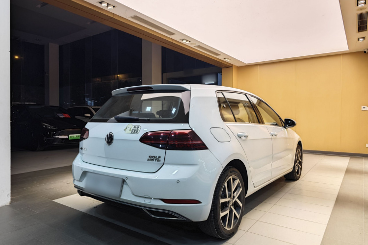 大众 高尔夫 2018款  230TSI 自动豪华型车身外观6010
