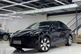 特斯拉 Model Y 2021款 长续航全轮驱动版
