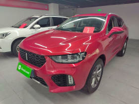 魏牌 VV5 2019款 2.0T 两驱终结版