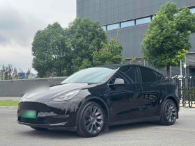 特斯拉 Model Y 2021款 标准续航后驱版