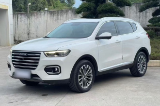 哈弗H6 2020款 1.5GDIT 自动铂金冠军版