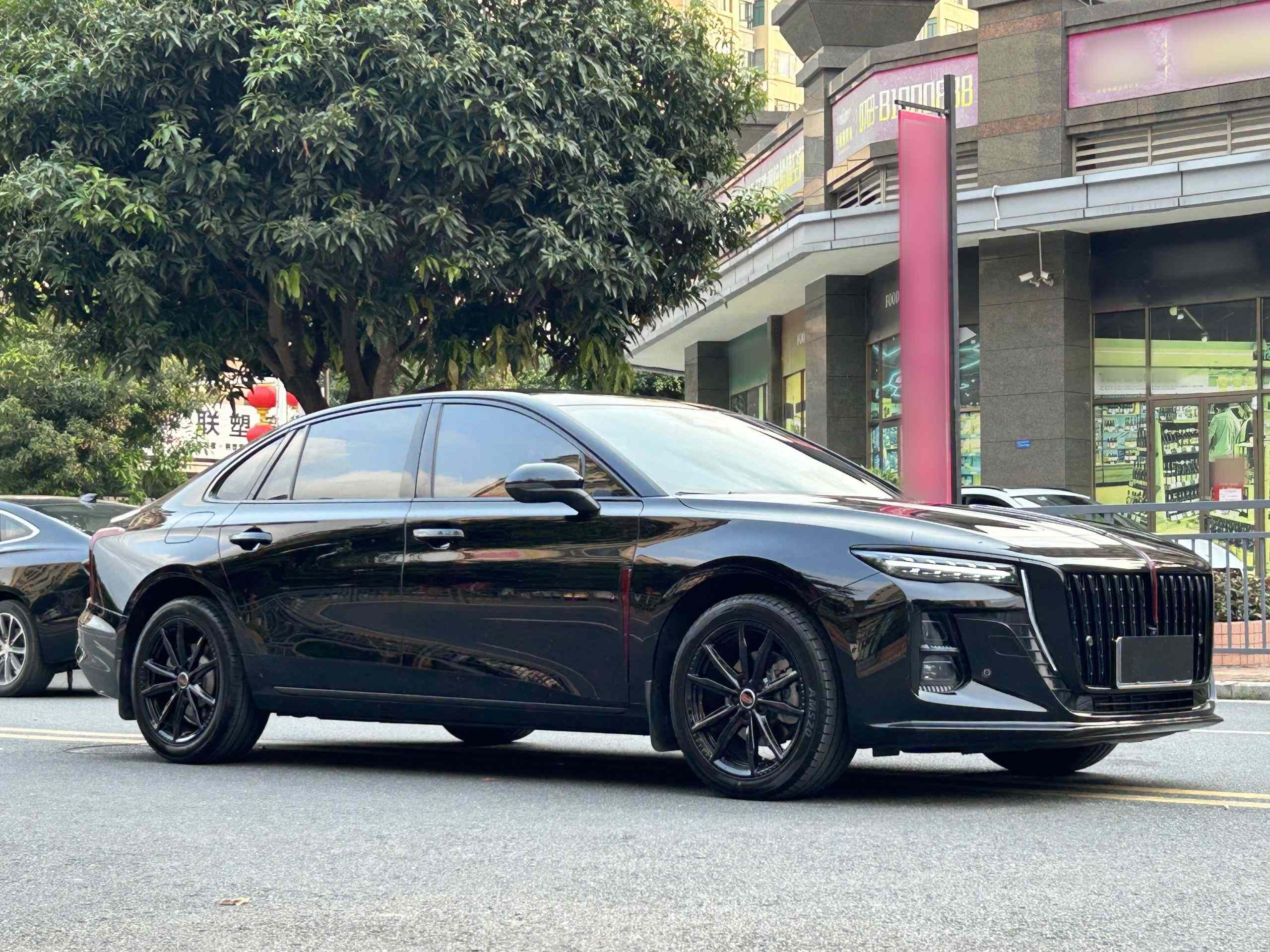 红旗H5 2025款 2.0T 自动玄影版(3)