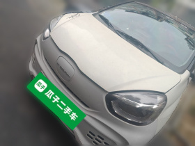 荣威 科莱威CLEVER 2021款 302km卓越版