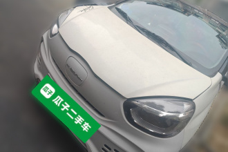 荣威 科莱威CLEVER 2021款 302km卓越版