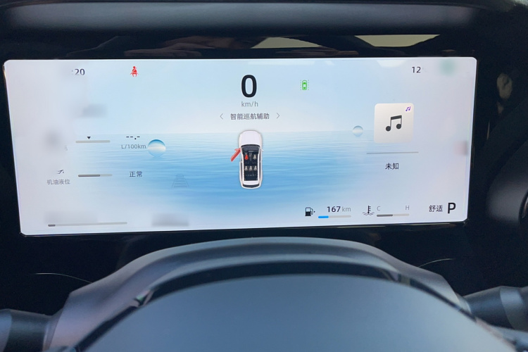 吉利汽车 星越L 2024款 2.0TD 高功自动两驱天际版局部细节14