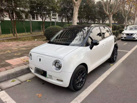 欧拉黑猫 2021款 301km 基础型