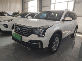 广汽传祺 传祺GS8 2020款 390T 两驱豪华版（七座）