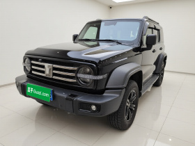 坦克300 2021款 越野版 2.0T 挑战者