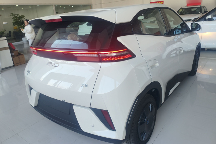 比亚迪 海鸥 2025款 智驾版 305km 活力版车身外观6005