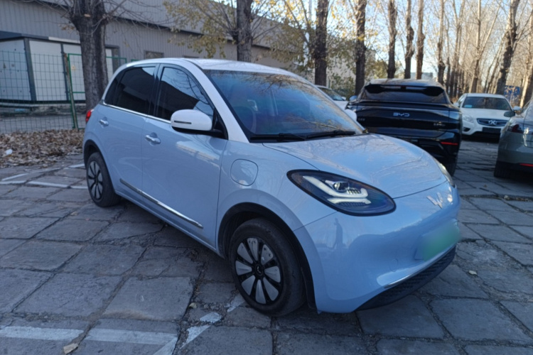 五菱汽车 五菱缤果 2023款 410km 灵犀尊享款车身外观6002